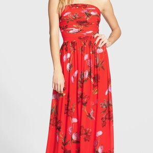 Erin Fetherston Isabelle Strapless Chiffon Dress/Gown Sz 10